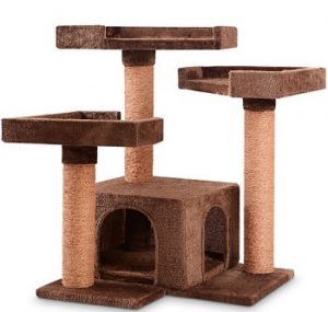 arbre a chat gifi montage